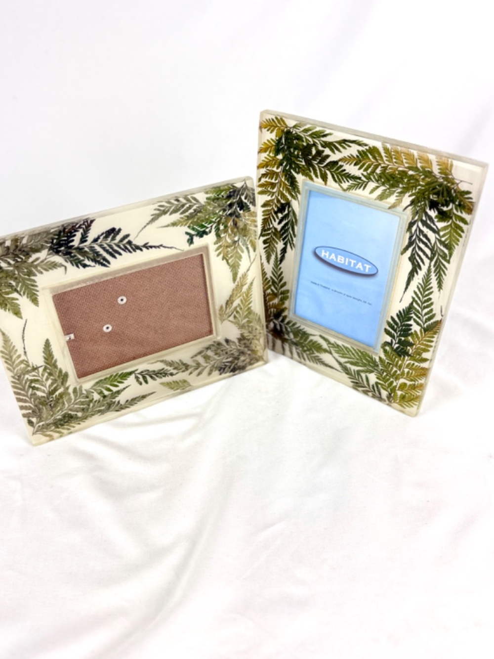 2 Photo Frames Habitat Clear Acrylic Lucite with Real Ferns 8.5 X 7inch Easel